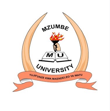 MZUMBE University Selected Applicants Second Round 2024/2025